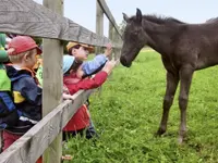 Güxi Kinderkrippen Administration - Klicken Sie, um das Bild 1 in einer Lightbox vergrössert darzustellen