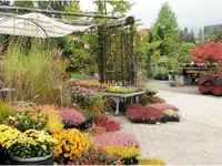 Müko Gartengestaltung AG