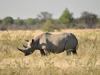 A + M Africa Tours GmbH