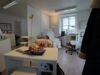 Pedisa