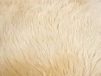 Textilpflege 27