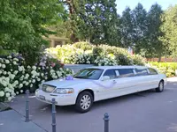 www.12taxi.ch Sommer