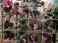 Florambiente SA