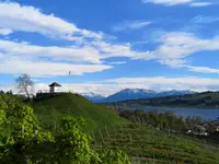 Weinbau Kaiserspan - Klicken Sie, um das Bild 9 in einer Lightbox vergrössert darzustellen