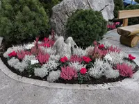 Oesch Fleurs & Jardins SA