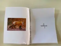 ASILO ECCOLO