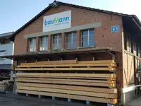 Baumann + Partner AG