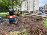DULLA PARCS ET JARDINS SA