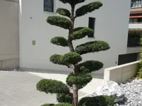 Gardenking GmbH