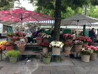 Blumen Müller