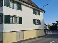 Zolicolor