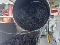 Cave du Cholèk Sàrl