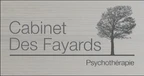 Cabinet Des Fayards