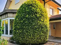 OMID Paysage - Arboriste Lausanne et environs