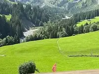 Schermtanne