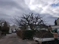 MM Gartenpflege GmbH