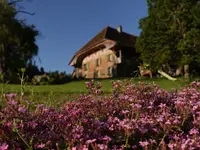 Wildblumenhaus - Klicken Sie, um das Bild 1 in einer Lightbox vergrössert darzustellen