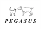 Cabinet vétérinaire Pegasus-Logo