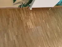 Wagner Parquet