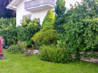 Arnold-Arnold GmbH