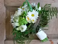 Blumen Haueter