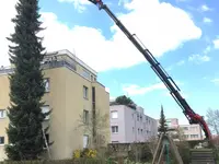 SchTArK GmbH