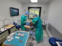 Servizio Medico Dentario Lugano – Cliquez pour agrandir l’image 5 dans une Lightbox