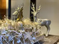 Blumen Candinas / Fluras Candinas
