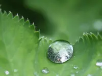 Gesundheitspraxis Alvita Thusis - Klicken Sie, um das Bild 2 in einer Lightbox vergrössert darzustellen