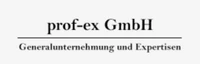 prof-ex GmbH-Logo