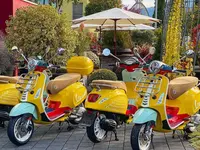 Hans Leupi - Leupimoto