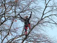 Alabor Gartenbau AG
