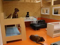 V.I.Pets Gossau