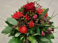 Blumen Ball GmbH
