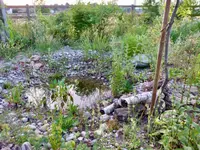Wildblumendienst