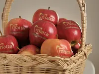 Zahnarztpraxis Dr. med. dent. Patrik Matta GmbH