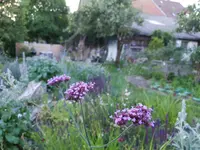 Bärtschi Gartenbau AG
