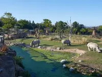 Zoo Zürich AG