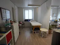 Pedisa