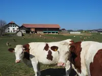 La Grangette SA