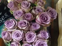 Design Flowers