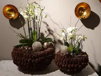 Blumen und Pflanzen
