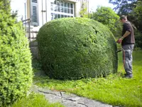 Garten Bürli GmbH