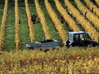 Domaine Les Hutins