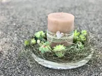 Vert'ige Fleurs
