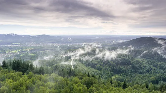 Murgtal zum Bouldern