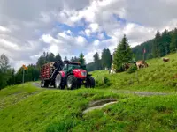 F.lli Devittori Sagl - Klicken Sie, um das Bild 3 in einer Lightbox vergrössert darzustellen