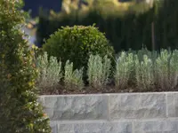 Ammann Gartenbau AG