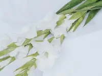 Fleurs du Coeur