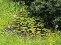 Huwiler und Söhne AG Gartenbau